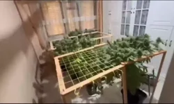 Pendik’te 10 Kilo Uyuşturucu Ele Geçirildi, 2 Tutuklama