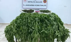 Uyuşturucu Operasyonu: 11 Kilo Skunk Ele Geçirildi
