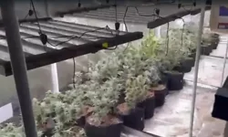 Menemen’de Uyuşturucu Operasyonu: 2 Kişi Tutuklandı