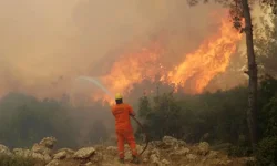 Orman Yangınlarına Karşı 125 Riskli Nokta Belirlendi