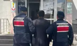 Pınarbaşı’nda Köpeğe Ağaca Asarak Öldürme