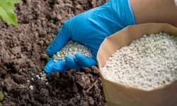 Tokat’ta Gübre Desteği Listeleri Açıklandı: 5 Günlük Kritik Süre Başladı!