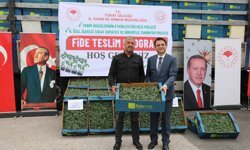 Tokat’ta Üretim Seferberliği: 1 Milyon Sebze Fidesi Toprakla Buluştu!