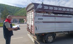 Tokat’ta Kurban Mesaisi Başladı: Veteriner Hekimlerden Yol Denetimi!