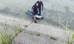 Sulama Kanalına Düşen Y.A Cansız Bedeni Bulundu