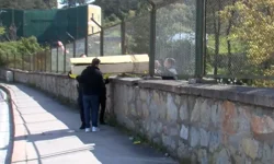 Maltepe’de Ağaçlık Alanda Erkek Cesedi Bulundu