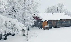 Turnalık’ta Mayıs Ayında 25 Cm Kar Yağdı