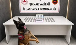 17 Milyonluk Vurgun: Jandarmadan Dev Kaçakçılık Operasyonu