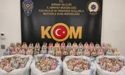 Habur’da Kuş Uçurtulmadı: 63 Gözaltı, 3 Tutuklama