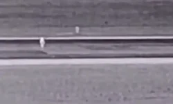 Denver Havalimanı’nda Pistte Feci Kaza: Uçak Bir Kişiye Çarptı