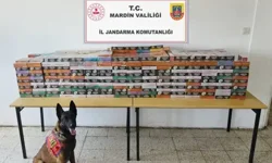Mardin’de 4 Milyon TL’lik Kaçak Tütün Operasyonu, 15 Gözaltı