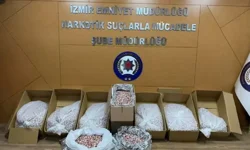 İzmir’de Dev Uyuşturucu Operasyonu: 48 Tutuklama