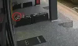 Otomobil Site Duvarına Çarptı, Kedi Son Anda Kurtuldu