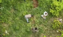 Kocaeli’de 40 Kilo Salep Yumrusuna 699 Bin TL Ceza