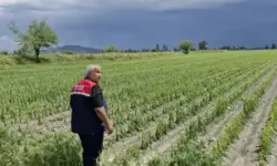 Dolu ve Sel Sonrası Tarım Arazilerinde Hasar Tespiti Başladı