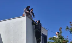 Bodrum’da Yangın: Çatıya Çıkan 2 Kadın Kurtarıldı