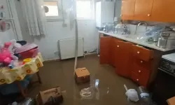 Sağanak Sonrası Yeşilırmak Taşkını: Evleri Su Bastı