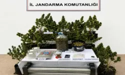 Muğla’da Uyuşturucu Operasyonu: 9 Kişi Tutuklandı