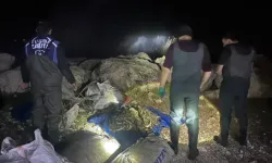 Tuşba’da Kaçak Avlanan İnci Kefalleri Ele Geçirildi