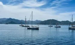 Yaralanan 9 Aktivist Daha Taburcu Oldu