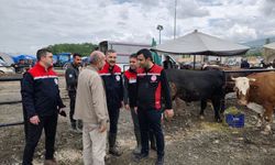 Tokat’ta Kurban Pazarına Üst Düzey Ziyaret: Denetimler Bayram Boyunca Sürecek