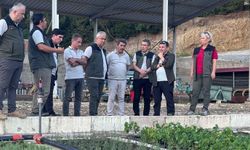 Tokat’ta Modern Fındık Üretimi: Niksar Fidanlığı’nda "Tek Gövde" Dönemi