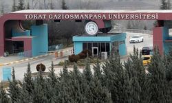 TOGÜ’den Uluslararası Başarı: Dünya Sıralamasında Hızlı Yükseliş!