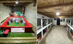 Artvin'de 'Horoz Dövüşü' Operasyonu; 39 Kişiye Toplam 508 Bin 248 TL Ceza
