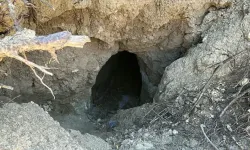 Yangının Ortaya Çıkardığı Tümülüs Definecilerin Hedefi Oldu