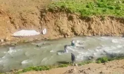 Pancar Toplamaya Gitti, Derede Mahsur Kaldı: Kurtuluşu Tesadüf Sağladı