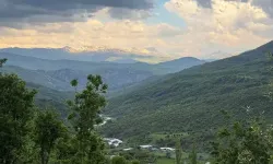 Şırnak'ta Ormanlara Girişler 30 Eylül'e Kadar Yasaklandı