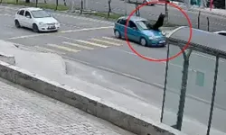 Otomobilin Çarptığı Yaya Yaşam Mücadelesi Veriyor, Sürücü Serbest