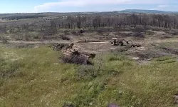 Edirne’de Orman Yangınında Zarar Gören Alanın Temizliğinde Sona Gelindi