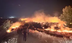 Anız Yangını Zeytinliklere Sıçradı: 200 Dönümlük Alan Zarar Gördü