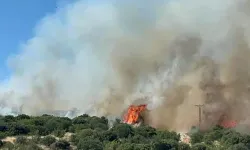 Çanakkale'de Bozuk Ormanda Yangın