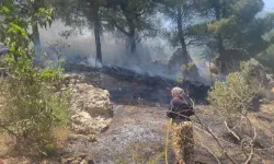 Kahramanmaraş’ta Orman Yangını Meydana Geldi