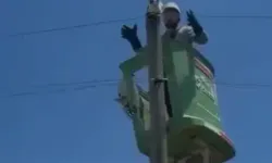 Amasya'da Elektrik Direğinde Mahsur Kalan Kedi Kurtarıldı