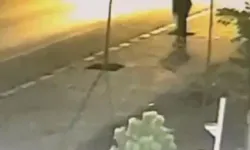 Patnos’ta Kaldırımlardaki Fidanları Söken Şüpheli Yakalandı