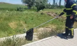 Eve Giren Yılan İtfaiye Ekiplerince Yakalanarak Doğaya Bırakıldı