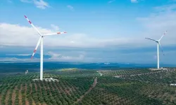 Enerjisa Üretim CEO'su Bayçöl'den Dünya Yenilenebilir Enerji Günü Mesajı