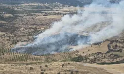 Çanakkale'de Orman Yangını Kontrol Altında