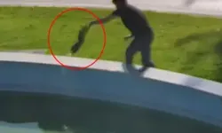 Süs Havuzuna Düşen Karganın Kurtarılma Anı Kamerada