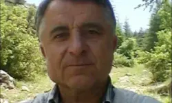 Traktöre Bağlayıp Sökmek İstediği Ağaç Üzerine Devrildi