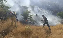 Mardin'de Çıkan Örtü Yangını Söndürüldü