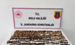 Yabani Salep Toplayan 3 Kişiye 2 Milyon 97 Bin TL Ceza