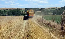 Edirne’de Yerli ve Milli Yulaf Çeşitleri Hasat Edildi