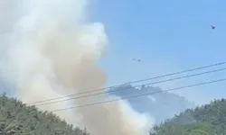 Manisa'da Orman Yangını Çıktı