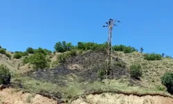 Genç'te Örtü Yangını Söndürüldü