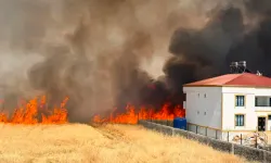 Diyarbakır'da Çıkan Anız Yangını Söndürüldü