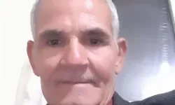 Ağaçlara Çarpan Otomobilin Sürücüsü Öldü, Eşi Yaralandı